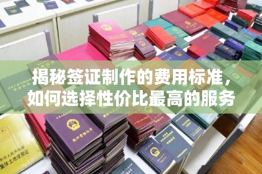 柳江揭秘签证制作的费用标准，如何选择性价比最高的服务？